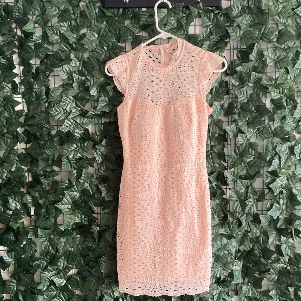NWT Sequin Hearts size‎ 1 Lace Mini Dress in Soft Pink